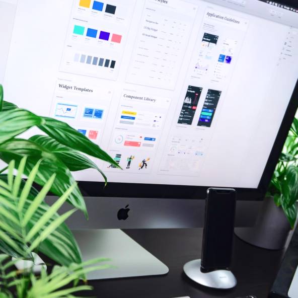 UI Designer prepares a style guide for the application