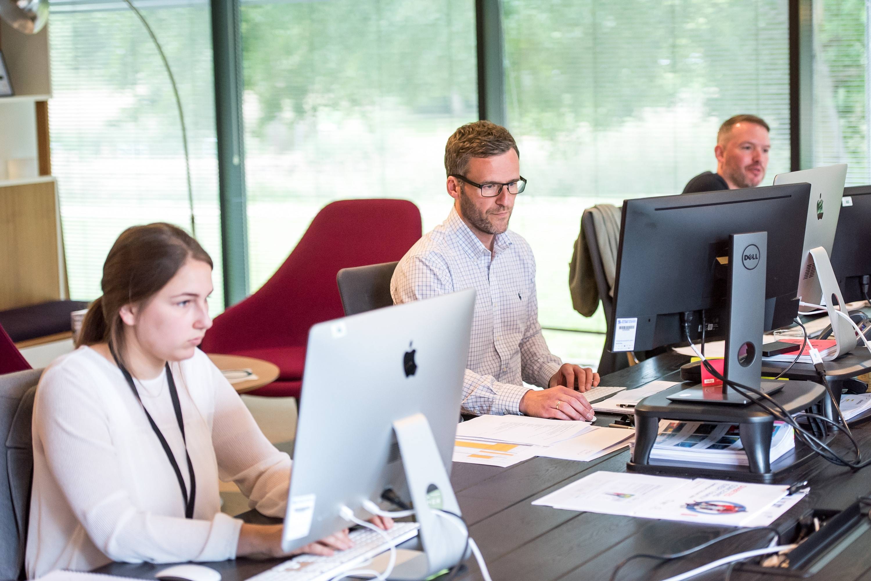 Multiple employees sitting at their desks working on computers in an office environment